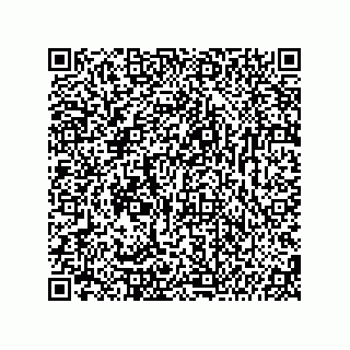 vCard 74987139337