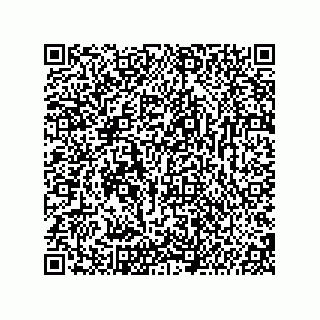 vCard 74987139343