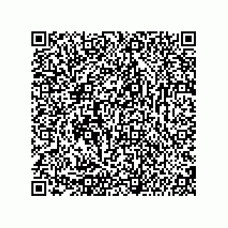 vCard 74987139353