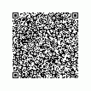vCard 74987139358