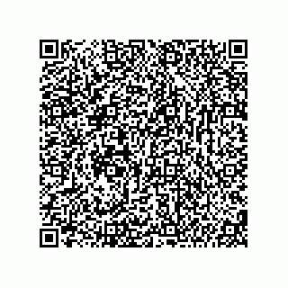 vCard 74987139371