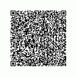 vCard 74987139373