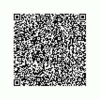vCard 74987139377