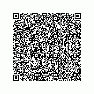 vCard 74987139378