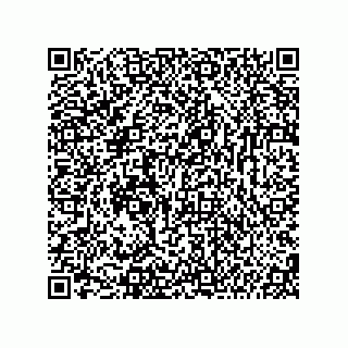 vCard 74987139379