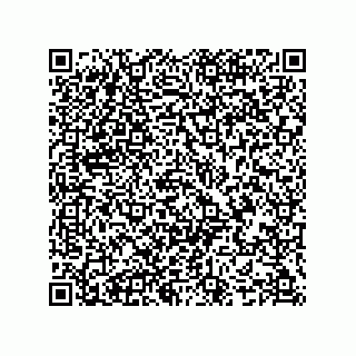 vCard 74987139381