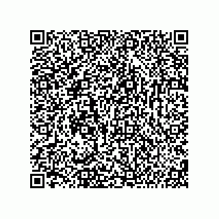vCard 74987139382