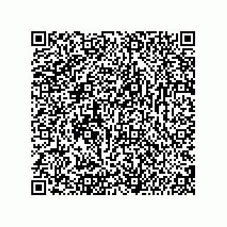 vCard 74987139383