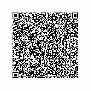 vCard 74987139385