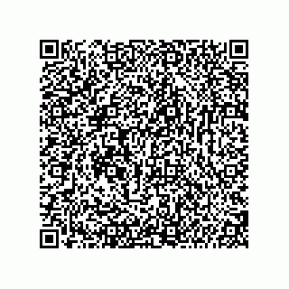 vCard 74987139387