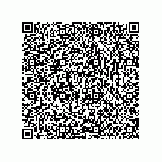 vCard 74987139393