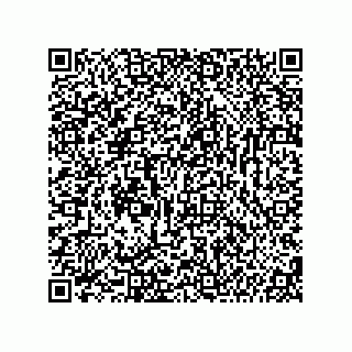vCard 74987139395