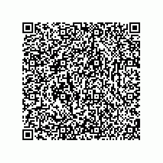 vCard 74987139397