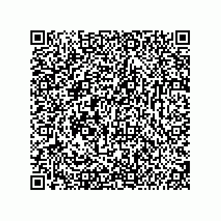 vCard 74987139398