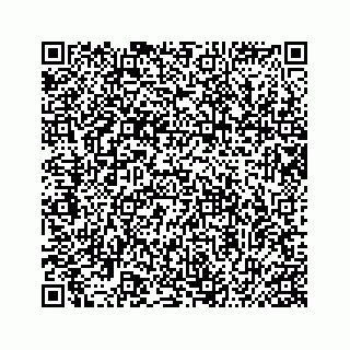 vCard 74987155287