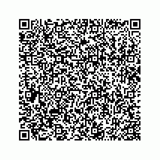 vCard 74987166218