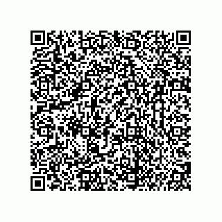 vCard 74987203900