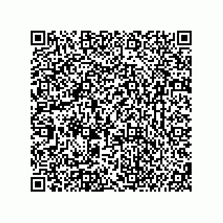 vCard 74987203901