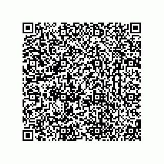 vCard 74987203903
