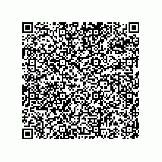 vCard 74987203905