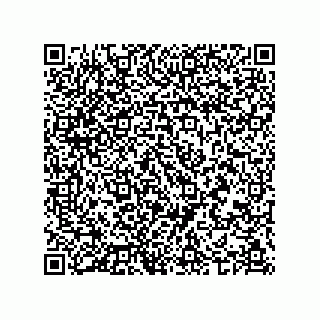vCard 74987203907