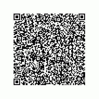 vCard 74987203910