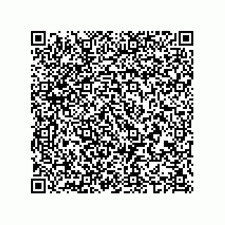 vCard 74987203911