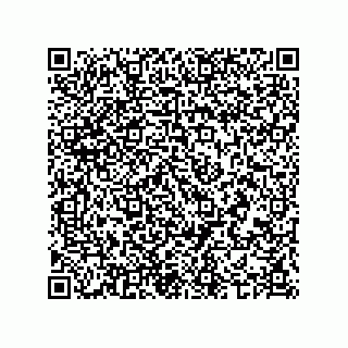 vCard 74987203913