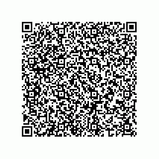 vCard 74987203918