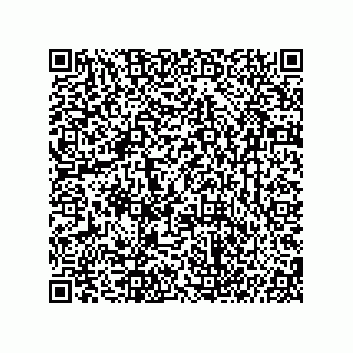 vCard 74987203919