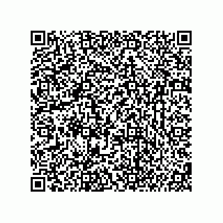 vCard 74987203930