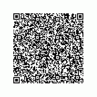 vCard 74987203931