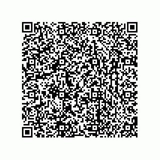 vCard 74987203933