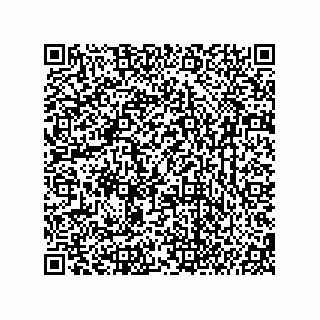 vCard 74987203935