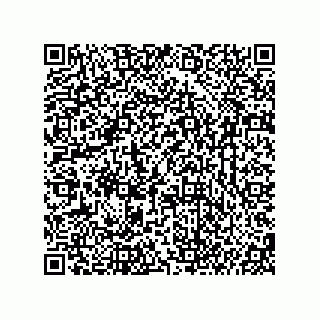 vCard 74987203937