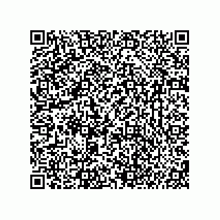 vCard 74987203940