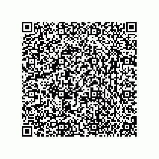vCard 74987203949