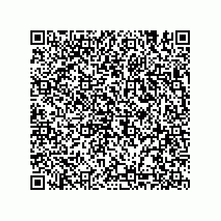 vCard 74987203953