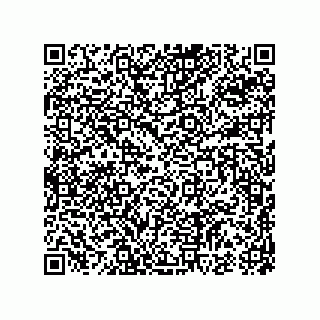 vCard 74987203958
