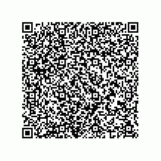 vCard 74987203985