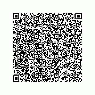 vCard 74987207839
