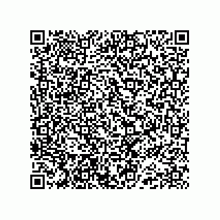 vCard 74987207939