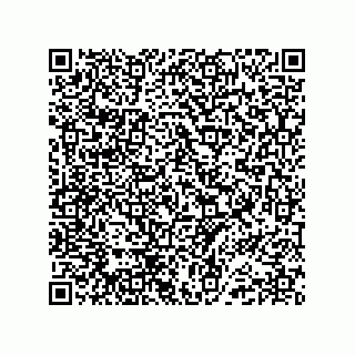 vCard 74987208839