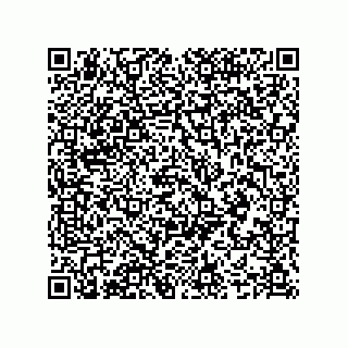 vCard 74987245239