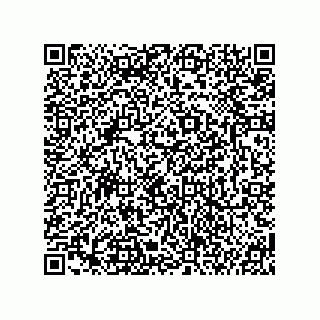 vCard 74987249863