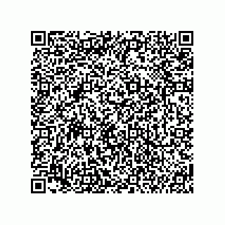 vCard 74987249871