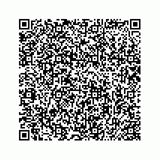 vCard 74987265538
