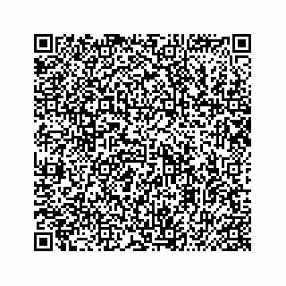 vCard 74987265709