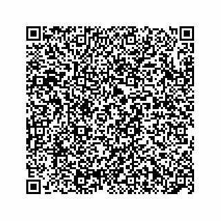 vCard 74987265729