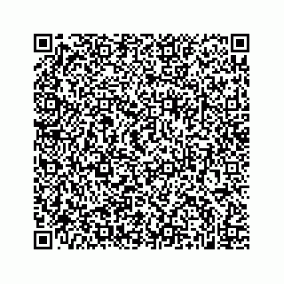 vCard 74987265794
